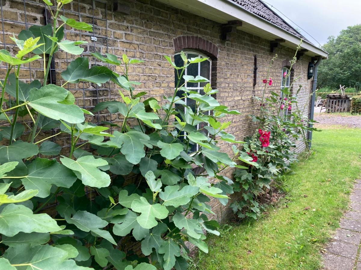 Duerswald Apartment Wijnjewoude Exterior photo